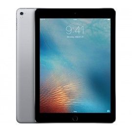 Ipad Pro 12.9 Wi-fi 256GB Space Gray - Envío Gratuito